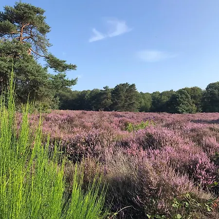Hotel De Werelt Garderen