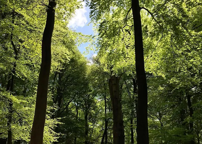 Westcord De Veluwe Hotel